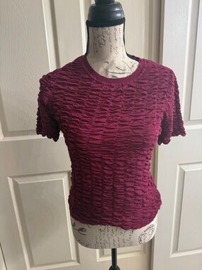 DKNY Women’s Textured Short Sleeve Top in Burgundy